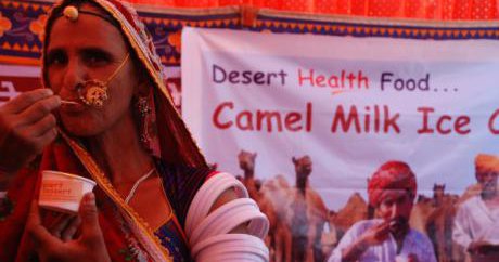 India S New Camel Legislation Protection Or Relegation Opendemocracy