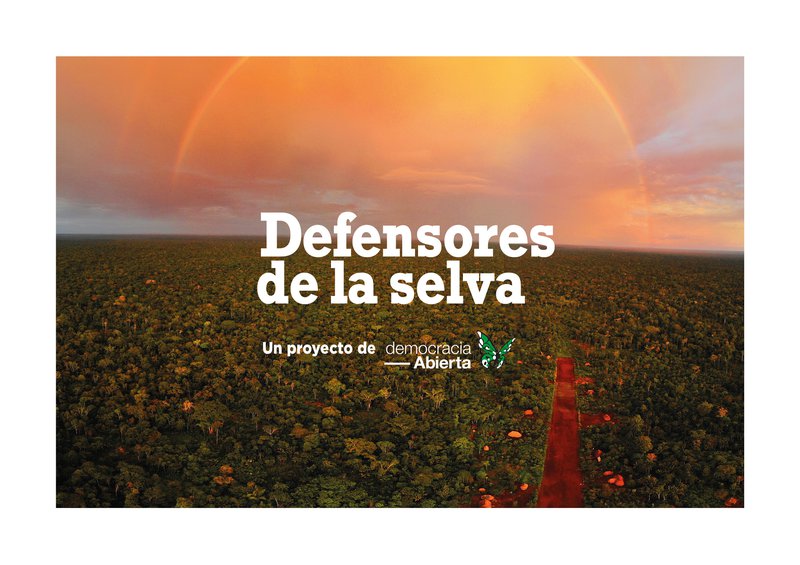 Serie Defensores De La Selva Opendemocracy