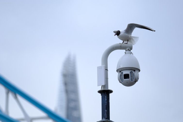 Black-headed gull on top of a closed circuit television camera in front of The Shard and Tower Bridge in London, UK.