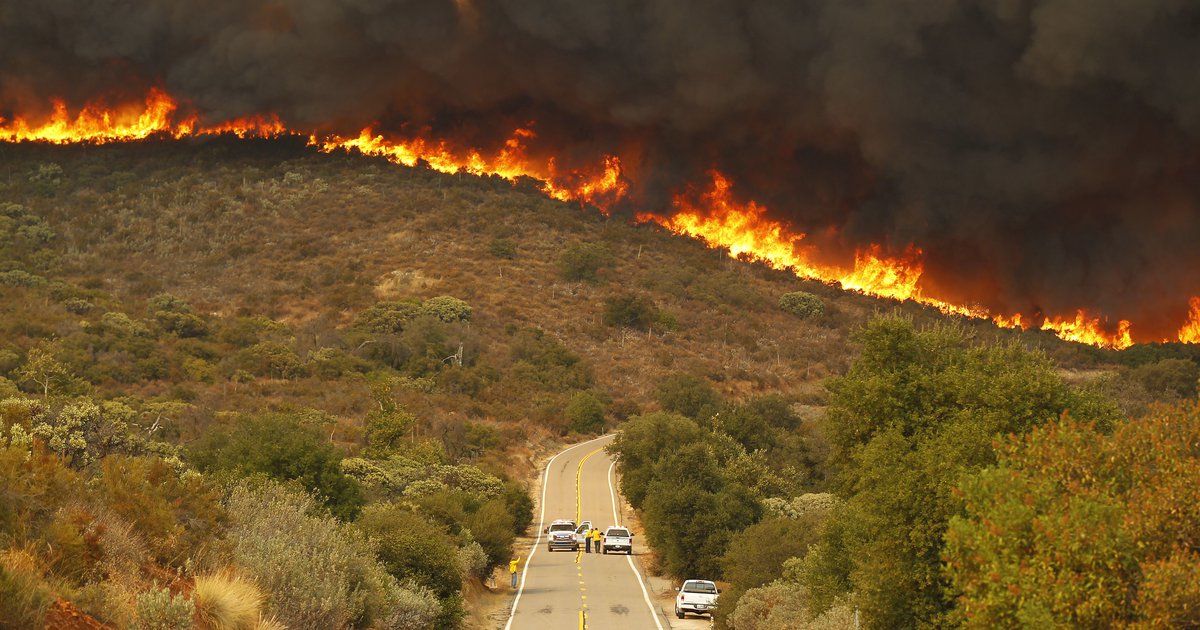 california wildfires opendemocracy